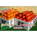 【ふるさと納税】小原紅早生 & 完熟温州 セット 約10kg ( 小原紅早生みかん約5kg & 完熟温州みかん約5kg ) S ～ Lサイズ ｜ みかん | フルーツ 果物 くだもの 食品 人気 おすすめ 送料無料