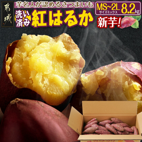 【新芋】芋名人が認めるさつまいも『洗い済み　紅はるか』8.2kg MS～2Lミックス ※9月～11月頃順次発送_LG-L701-N