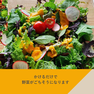 有機野菜たっぷりフェリチタドレッシング4本セット