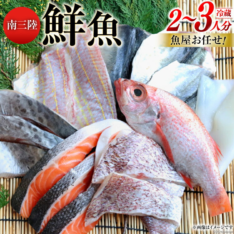 【ふるさと納税】鮮魚 詰め合わせ 魚屋お任せ！南三陸お楽しみ鮮魚 セット 2～3人分 [さかなのみうら 宮城県 南三陸町 30aj0001] 魚 タコ 牡蠣 ほや ホタテ 塩辛 佃煮 切り身