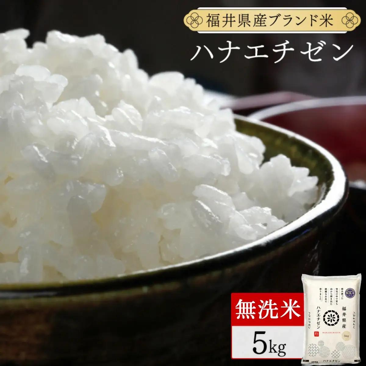 【定期便6回】ハナエチゼン 無洗米 5kg（5kg×1）令和8年産 [095-t06-a528]