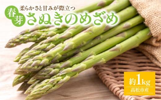 柔らかさと甘みが際立つ さぬきのめざめ春芽 約1kg【2025-3月上旬～2025-4月下旬配送】