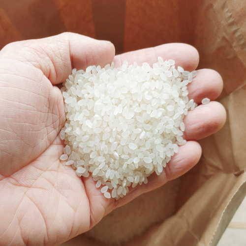 【4月下旬発送分】ななつぼし5kg　「北海道中富良野町産本間農園」