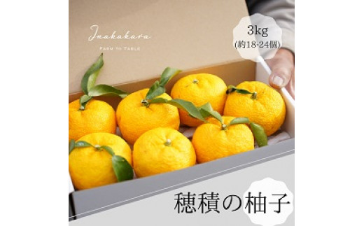 
            【2024年11月発送分】富士川町産 ゆず 約3kg 産地直送 穂積の柚子 マーマレードにも【A5403】
          