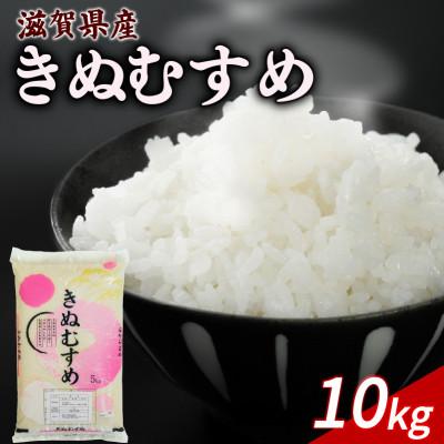 ふるさと納税 彦根市 令和8年産 新米 きぬむすめ 10kg 【滋賀でとれたお米、近江米!】