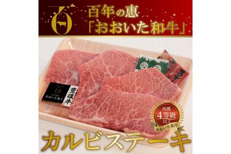 A01062　百年の恵 「おおいた和牛」 カルビステーキ約400g