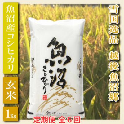 ふるさと納税 魚沼市 【毎月定期便】【雪国逸品 玄米1kg】越後魚沼郷 魚沼産コシヒカリ全6回