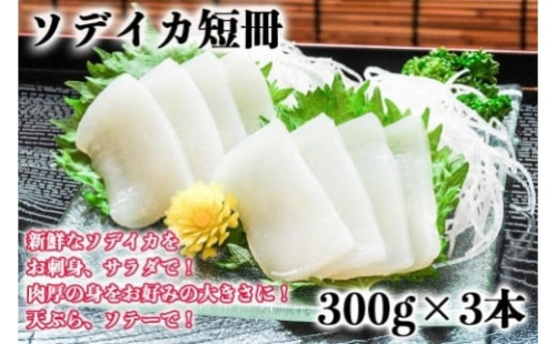 【沖縄県産 巨大イカ】ソデイカ短冊