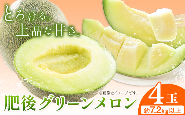 【先行予約】肥後グリーンメロン 4玉 児玉農園 1玉(1.8kg以上)《5月上旬-5月末頃出荷》メロン グリーンメロン 熊本県 玉東町 フルーツ 果物