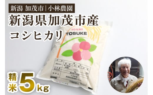 【令和7年産】加茂市小林農園のコシヒカリ 5kg（5kg×1袋）《順次出荷》 新潟産コシヒカリ お米 精米 料亭や割烹でも愛される従来品種 加茂市 小林農園