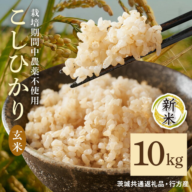 【ふるさと納税】 令和7年産新米 玄米 10kg 栽培期間中農薬不使用 こしひかり 茨城県産 米 お米 コメ ご飯 コシヒカリ 食味豊か 甘み 旨み 冷めても 美味しい お弁当 向け 食卓常備 産地直送 茨城県 潮来市 ＜茨城県共通返礼品・行方市産＞ (A03-013)