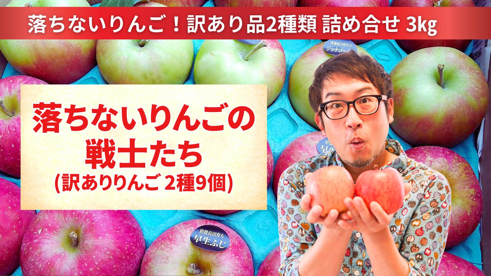 
                  先行予約 【訳あり品】 落ちないりんごの戦士たち 3kg 【 りんご 品種 おまかせ 2種類以上 旬 産地直送 岩手 陸前高田 】 RT2686
                