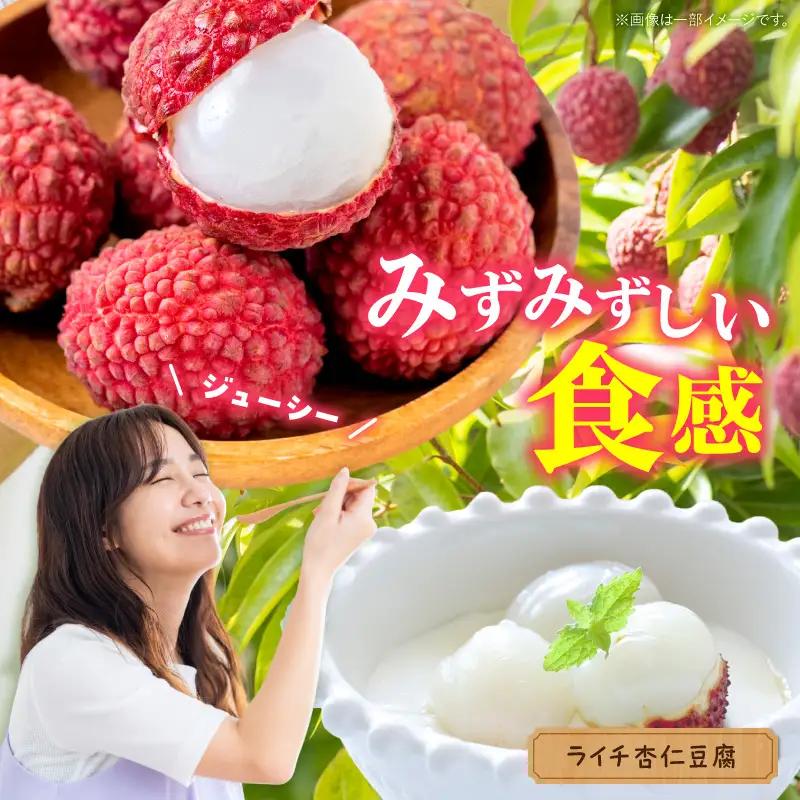 ライチ 9玉 ライチ [2026年発送 宮崎市産 生ライチ 1玉40g以上]