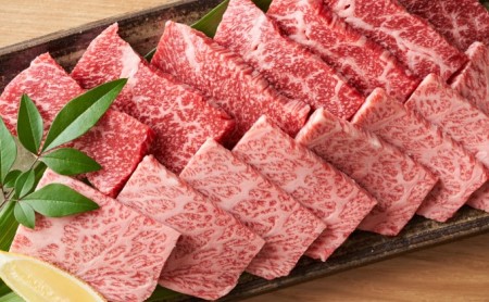 博多和牛 焼肉 セット 500g A4～A5 配送不可：離島 バーベキュー お肉 牛肉 バラ(カルビ) ロース 