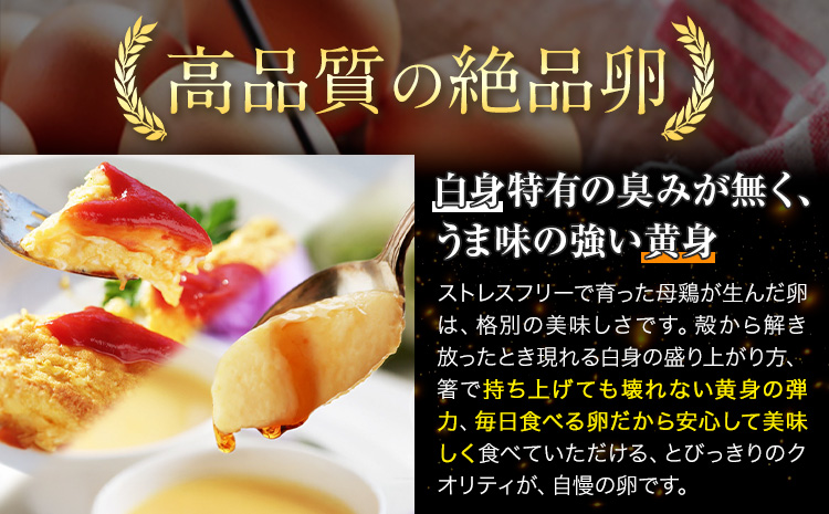 卵 たまご 夢の卵 赤玉 卵かけご飯セット 20個 + 12個 醤油 1本《90日以内に出荷予定(土日祝除く)》株式会社めぐみ 岡山 卵かけごはん---124_87_90d_23_14500_s---