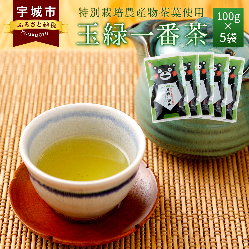 くまモン 玉緑一番茶 100g×5袋セット 緑茶 日本茶 一番茶
