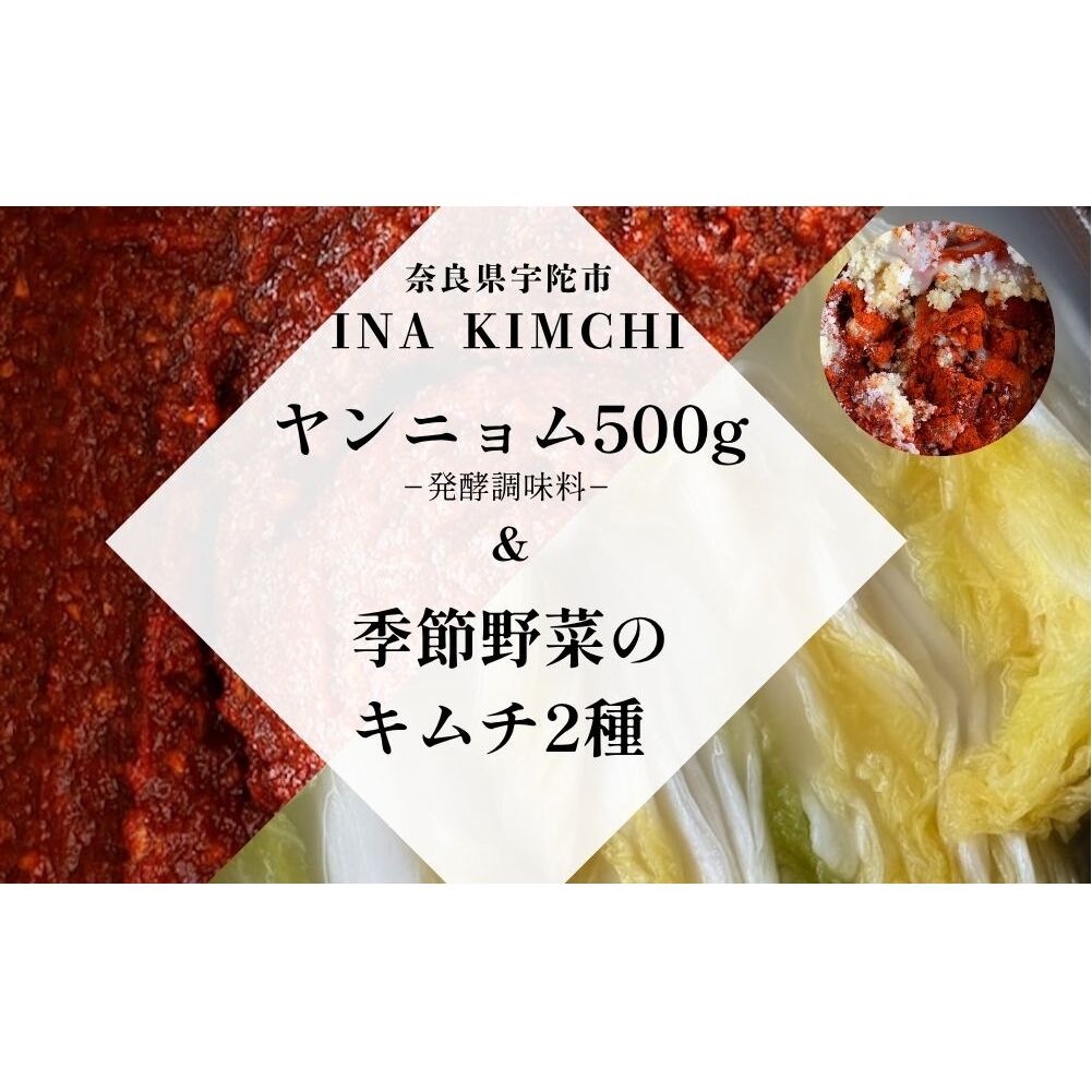 ヤンニョム500g ＆季節野菜のキムチ2種（各500g）／ ふるさと納税 キムチ ヤンニョムソース 赤キムチ 白キムチ 料理 グルメ INA Lab INA KIMCHI 取り寄せ 室生 奈良県 宇陀