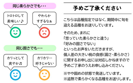 【令和6年産先行予約】 もも 約3kg (6～11玉) 《令和6年8月下旬～発送》 『生産者 高橋 賢一』 モモ 果物 フルーツ 産地直送 生産農家直送 山形県 南陽市 [1106]