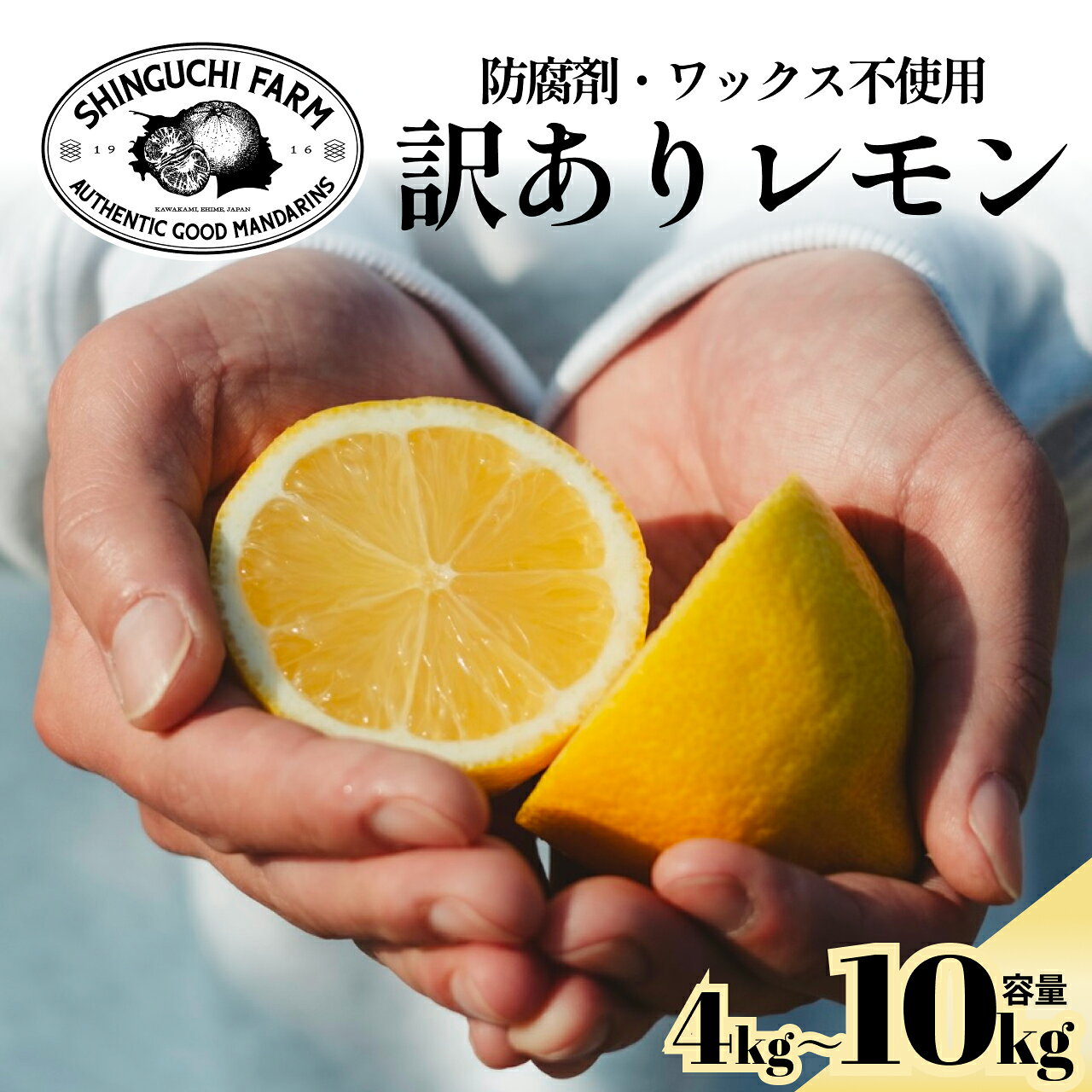 【ふるさと納税】【先行受付】【太陽の恵みをギュッと凝縮】訳あり 愛媛レモン 防腐剤・ワックス不使用【C70-74】選べる容量 4kg / 5kg / 10kg　ふるさと納税 レモン れもん 檸檬 訳あり 果物 くだもの フルーツ かんきつ 柑橘 産地直送 八幡浜市【1622582】YWTK073