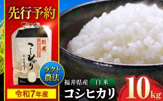 【 先行予約 /9月中旬から発送】　【令和7年産】 福井県産 ラクト農法 コシヒカリ 白米 10kg / 小浜市 / 北川博司 [BFDG006]