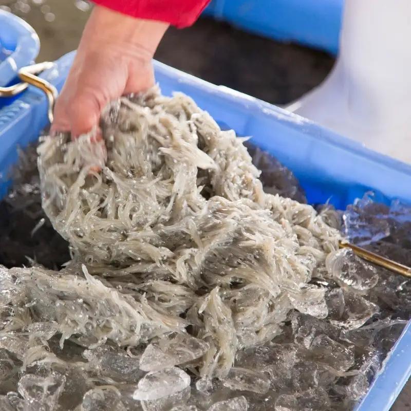 しらす 釜揚げしらす 1kg 箱入り【冷凍】 無添加 無着色【mar112】