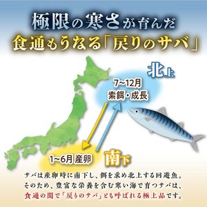 北海道産 炙りしめ鯖 4枚 （お試し小サイズ） ふるさと納税 魚 北海道 〆鯖 しめさば シメサバ 〆サバ ふるさと 鯖 小分け おつまみ 酒の肴 日本酒 酒 魚介 海鮮 冷凍 国産 人気 年末年始 