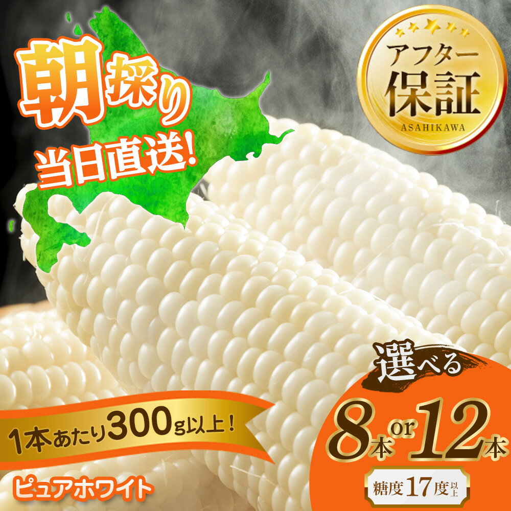 【ふるさと納税】【2026年先行予約】白いとうもろこしピュアホワイト 8本2.4kg or 12本3.6kg（2026年8月下旬から発送開始予定） | とうもろこし ピュアホワイト 旬 野菜 夏野菜 冷蔵 甘い 糖度 旭川市ふるさと納税 北海道ふるさと納税 旭川市 北海道 送料無料