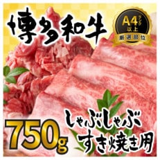 訳アリ!【A4～A5】博多和牛しゃぶしゃぶすき焼き750gセット(岡垣町)