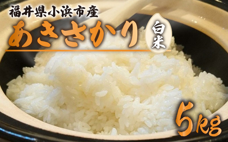 
            【令和6年産 新米】福井県産あきさかり　白米5kg　若狭の恵
          