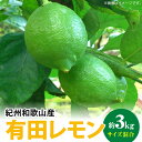 【ふるさと納税】【国産】 高評価 紀州和歌山産 有田レモン 3kg (サイズ混合)【国産 レモン 柑橘 フルーツ 和歌山】