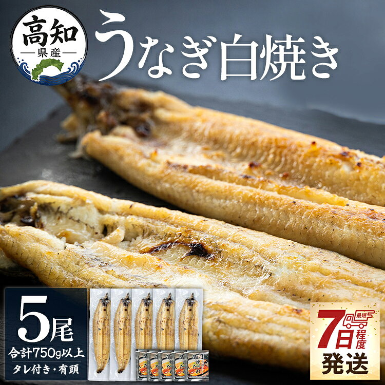 【ふるさと納税】【7日程度で発送】高知県産うなぎの白焼き 5尾 合計750g以上（1尾150〜180g）タレ付き エコ包装 - 贈答用 簡単調理 お中元 父の日 訳あり 鰻 ウナギ しらやき たれ 有頭 うな丼 うな重 簡易包装 家庭用 unagi 個包装 真空パック 高知県 香南市【冷凍】