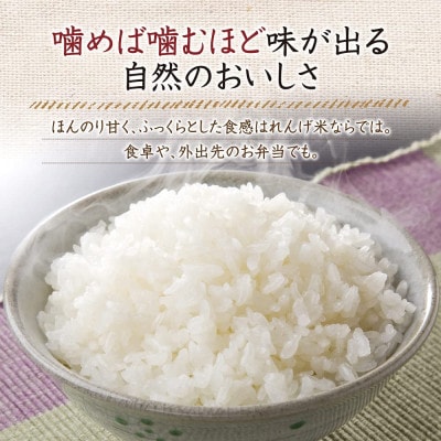 岡山県産　れんげ米(5kg入)(26552)