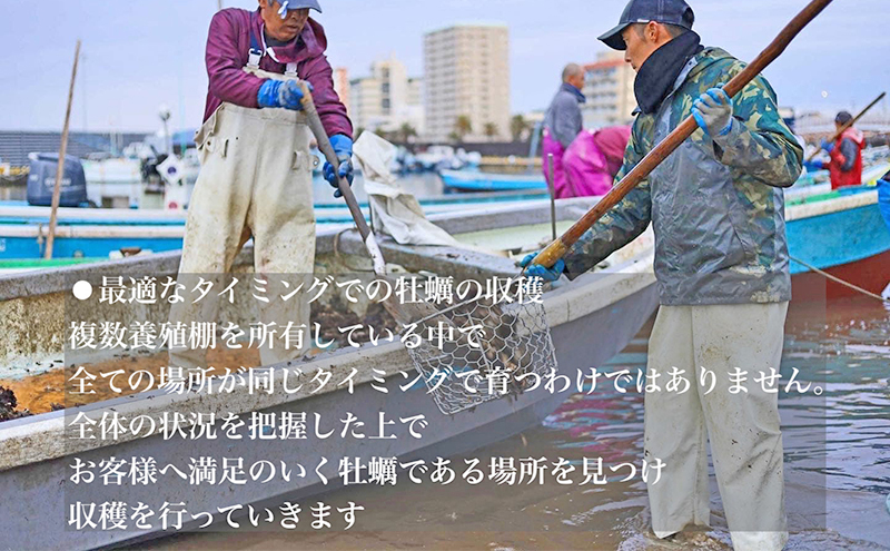 【2025年1月より順次発送】浜名湖産かき大粒むき身500g（加熱用）先行予約  牡蠣 海鮮 魚介 国産 浜名湖産 貝付き 生牡蠣 焼き牡蠣 蒸し牡蠣 冷蔵 産地直送