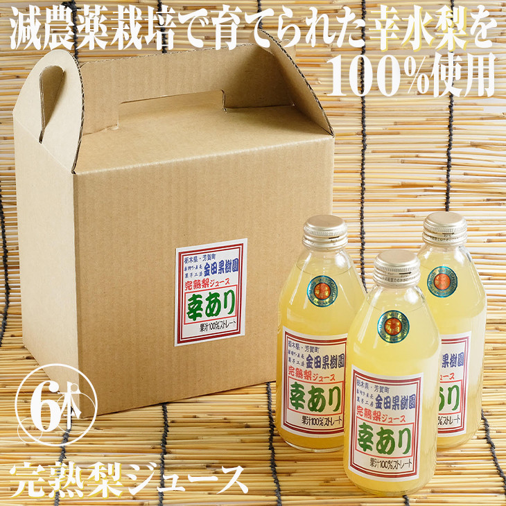 
幸あり梨ジュース 250ml×6本セット ナシジュース 果汁100％ なし ナシ フルーツ 果物 ギフト 贈り物 送料無料◇
