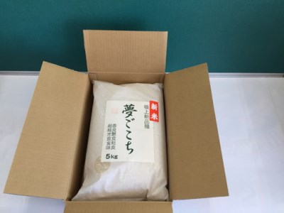 【PRキャンペーン対象】【新米】【7年産】 近江米 夢ごこち 5kg × 2袋 【T035W1】 新米 白米 ご飯 精米