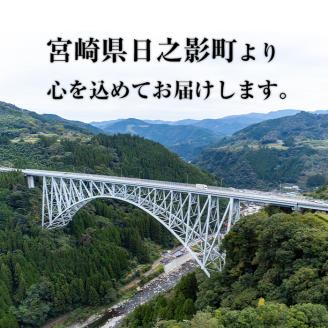 ＜令和5年産＞＜定期便(連続3回)＞宮崎県産 神々の里 高千穂郷ひのひかり(5kg×2袋×3回)【NK009】【宮崎県農業協同組合　高千穂地区本部】