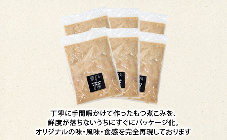 かずちゃんのもつ煮こみ【300g×6袋】惣菜 千葉県 千葉市 お取り寄せグルメ 球場グルメ 球場名物 おかず おつまみ 酒の肴 国産 豚肉 ホルモン もつ 本格的 簡単調理 濃厚 時短 手軽 冷蔵 人