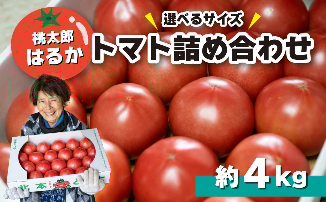 
            トマト詰め合わせ 桃太郎はるか  選べるサイズ・個数 (M 約22～24個 / (L 約16個～18個) 約計4kg | とまと ﾄﾏﾄ 桃太郎 大玉トマト 産直 農家直送 マイルド 酸味が少ない 野菜 フレッシュ 健康 季節野菜 季節限定 国産 新鮮 野菜 北本産 関東 旬のトマト トマトファーム 加藤義明とまと農園 埼玉県 北本市
          