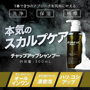 【12ヶ月定期便】＼毎月お届け／ チャップアップ シャンプー 詰替用 300ml｜CHAP UP 定期便 シャンプー 詰め替え パウチ メンズ 濃密泡 スカルプ アミノ酸 シャンプー ノンシリコン ス