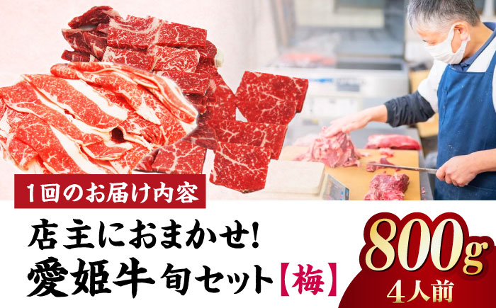 【全3回定期便】希少な国産ブランド牛！「愛姫牛」店主におまかせ旬セット【梅】800g（4人前）牛肉 お肉 ステーキ 国産肉 焼肉 グルメ 送料無料 お取り寄せ 愛媛県大洲市/有限会社 木村屋精肉店 [