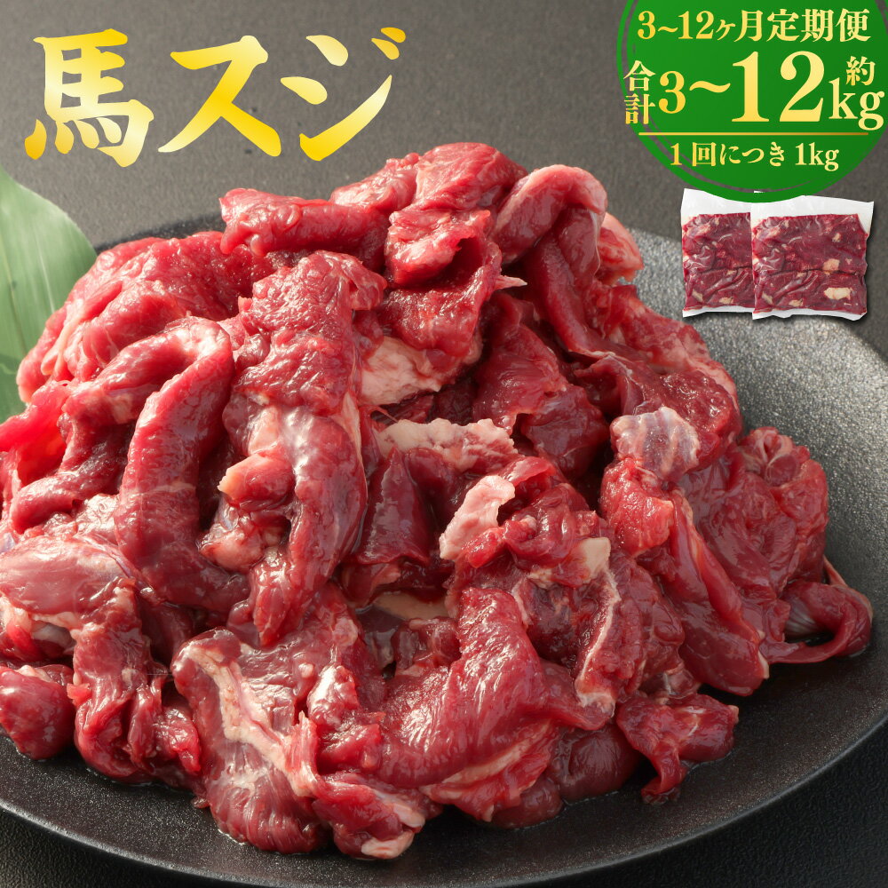 【ふるさと納税】＜選べる＞【3ヶ月・6ヶ月・12ヶ月 定期便】馬スジ 1回あたり約1kg（500g×2パック）計3kg～12kg 馬肉 肉 お肉 スジ肉 すじ肉 煮込み カレー 料理用 お取り寄せ グルメ 冷凍 熊本県 熊本市 送料無料