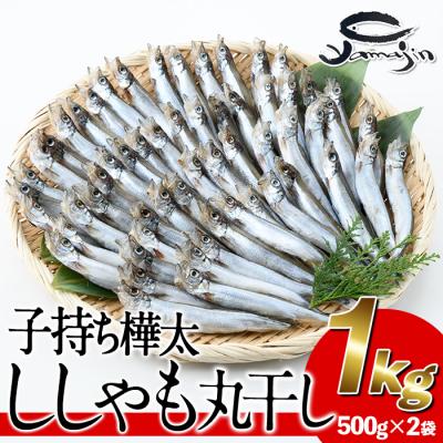 ふるさと納税 佐伯市 子持ち樺太ししゃも丸干し (計1kg・500g×2袋)