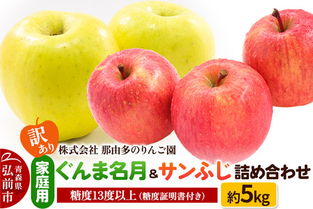 りんご【訳あり】家庭用 ぐんま名月＆サンふじ 詰め合わせ 約5kg 糖度13度以上（糖度証明書付）