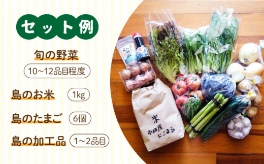 壱岐産 食材詰め合わせ 野菜 《壱岐市》【壱岐イルカパーク＆リゾート】[JBF009] 21000 21000円
