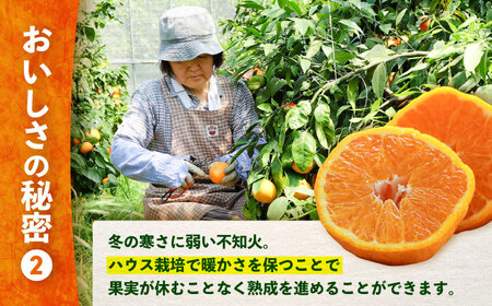 まもなく終了 デコポン 不知火 3kg ＜原口果樹園＞ CCW005 デコポン みかん