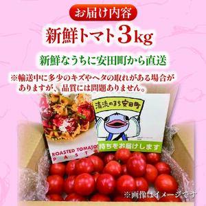 【2025年10月下旬より発送】安田町産 愛情たっぷり新鮮トマト3kg 新鮮 トマト 数量限定 詰め合わせ セット 甘い 旬 野菜 3kg 3キロ 採れたて くだもの 夏野菜  ギフト 3kg  2万