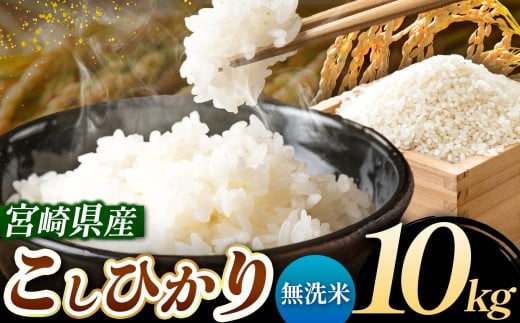 令和7年産 こしひかり 10kg （無洗米） 宮崎県産 | 米 こめ お米 おこめ 精米 白米 宮崎県 五ヶ瀬町