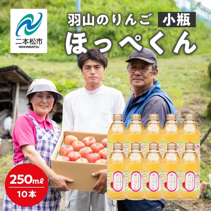 りんごジュース 果汁100% 羽山のりんご ほっぺくん 小瓶（250ml×10本）|りんごジュース【羽山果樹組合】