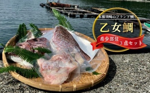 【 スピード配送 】 真鯛 希少部位 カマ 頭 フィーレ 3点セット 冷凍 本場 産地直送 お手軽 簡単 おかず 便利 鯛 真鯛 魚介類 高知県 須崎市 アラ汁 鯛飯 鯛茶漬け カルパッチョ KS016-3x