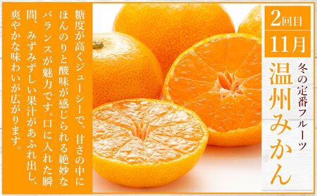 秀品 みかん 3ヶ月定期便 【スペシャル：計25kg】 日本フルーツ株式会社《10月上旬-12月末頃出荷》熊本県 荒尾市  極早生みかん 温州みかん 葉付き 不知火 果物 フルーツ スイーツ デザート
